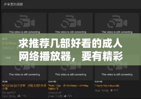 求推薦幾部好看的成人網(wǎng)絡(luò)播放器，要有精彩劇情的那種