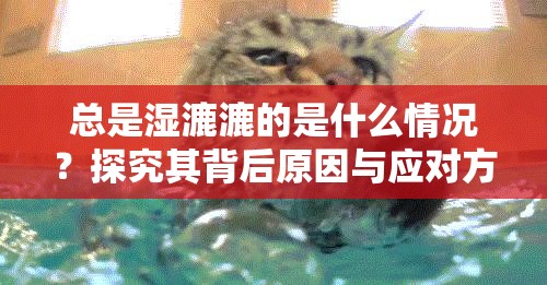 總是濕漉漉的是什么情況？探究其背后原因與應(yīng)對(duì)方法大揭秘