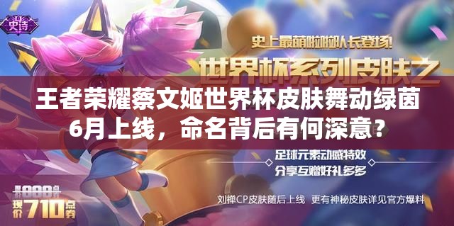 王者榮耀蔡文姬世界杯皮膚舞動(dòng)綠茵6月上線，命名背后有何深意？