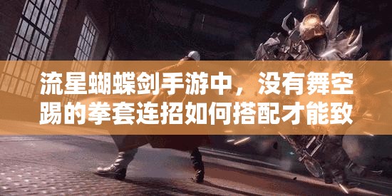 流星蝴蝶劍手游中，沒有舞空踢的拳套連招如何搭配才能致勝？