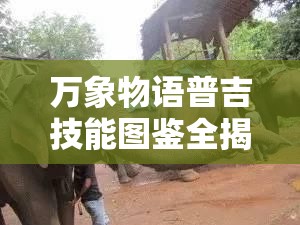 萬(wàn)象物語(yǔ)普吉技能圖鑒全揭秘，他的使用方法如何隨版本演變，你了解多少？