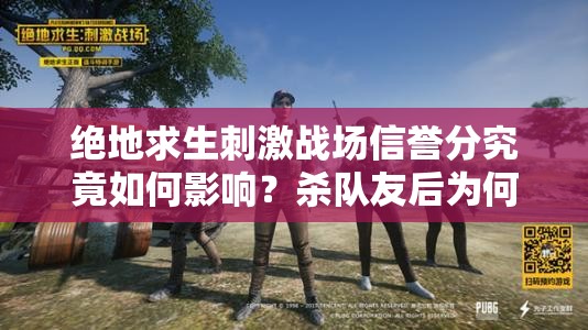 絕地求生刺激戰(zhàn)場(chǎng)信譽(yù)分究竟如何影響？殺隊(duì)友后為何再難組隊(duì)？
