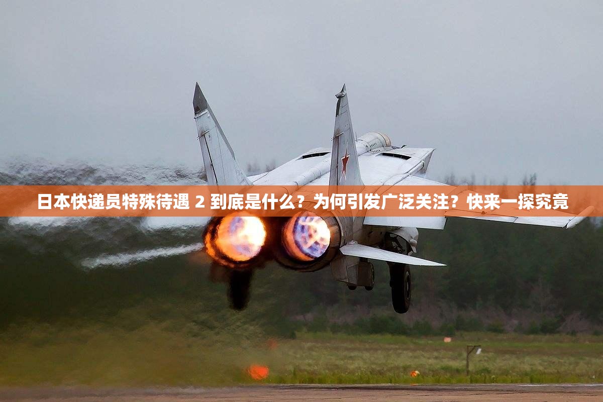 日本快遞員特殊待遇 2 到底是什么？為何引發(fā)廣泛關(guān)注？快來一探究竟