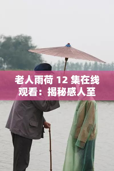 老人雨荷 12 集在線觀看：揭秘感人至深的故事