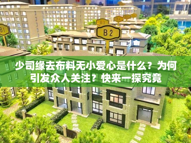 少司緣去布料無小愛心是什么？為何引發(fā)眾人關(guān)注？快來一探究竟