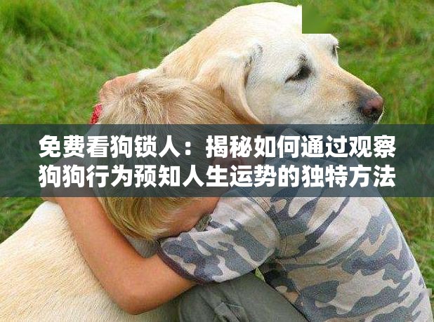 免費看狗鎖人：揭秘如何通過觀察狗狗行為預(yù)知人生運勢的獨特方法