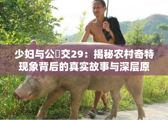 少婦與公豬交29：揭秘農(nóng)村奇特現(xiàn)象背后的真實(shí)故事與深層原因