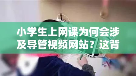 小學生上網(wǎng)課為何會涉及導管視頻網(wǎng)站？這背后到底隱藏著怎樣的情況？