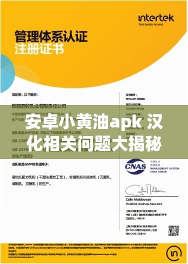 安卓小黃油apk 漢化相關(guān)問(wèn)題大揭秘，你想知道的都在這里