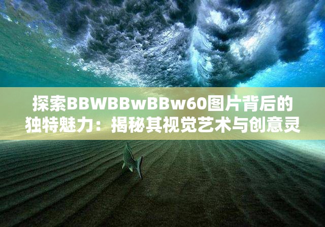 探索BBWBBwBBw60圖片背后的獨(dú)特魅力：揭秘其視覺藝術(shù)與創(chuàng)意靈感