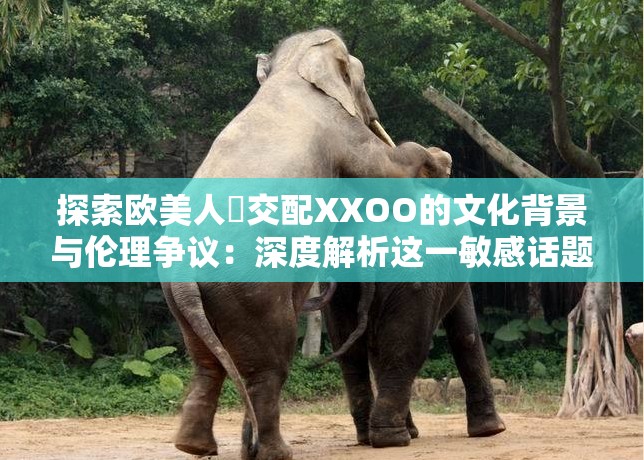 探索歐美人獸交配XXOO的文化背景與倫理爭議：深度解析這一敏感話題的社會影響與法律邊界