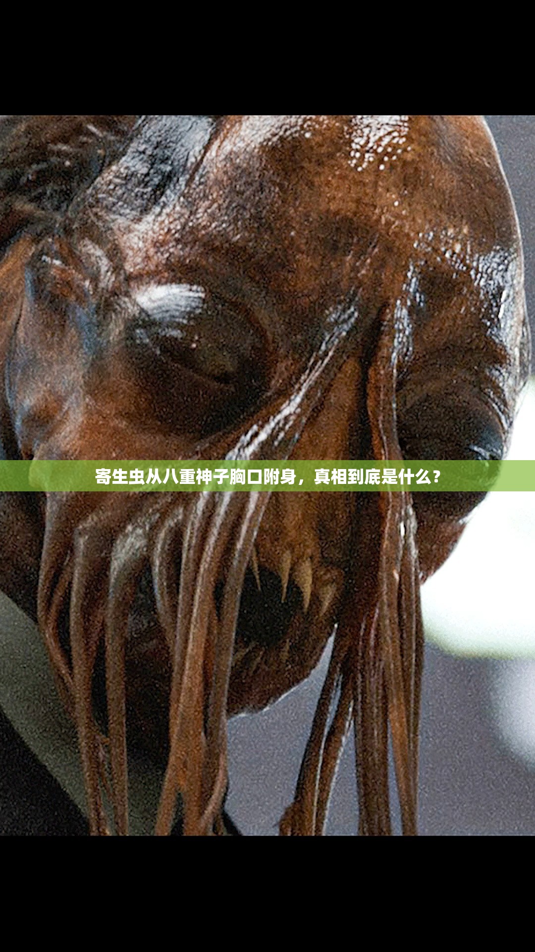 寄生蟲從八重神子胸口附身，真相到底是什么？