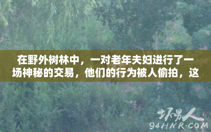 在野外樹林中，一對(duì)老年夫婦進(jìn)行了一場(chǎng)神秘的交易，他們的行為被人偷拍，這張照片在網(wǎng)絡(luò)上引起了軒然大波這對(duì)夫婦的身份和交易內(nèi)容成為了人們關(guān)注的焦點(diǎn)，各種猜測(cè)和傳言不斷涌現(xiàn)這張照片揭示了社會(huì)中存在的一些問題，也引發(fā)了人們對(duì)于隱私和道德的深刻思考