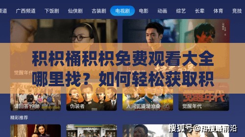 積枳桶積枳免費觀看大全哪里找？如何輕松獲取積枳桶積枳免費資源？