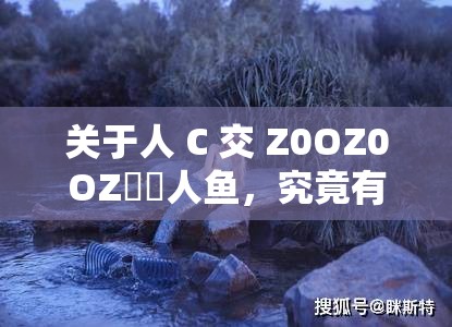 關(guān)于人 C 交 Z0OZ0OZ??人魚(yú)，究竟有著怎樣神秘而特別的故事？