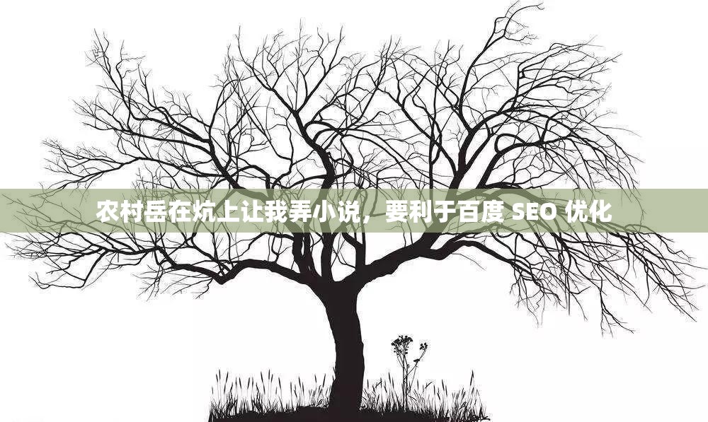 農(nóng)村岳在炕上讓我弄小說(shuō)，要利于百度 SEO 優(yōu)化