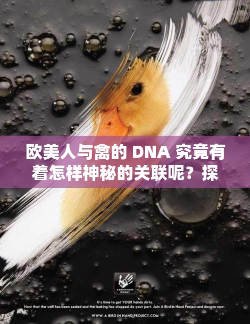 歐美人與禽的 DNA 究竟有著怎樣神秘的關聯(lián)呢？探秘其中奧秘歐美人與禽的 DNA 生成如此奇特組合背后有何緣由？歐美人與禽的 DNA 是如何相互交織產(chǎn)生奇妙現(xiàn)象的？