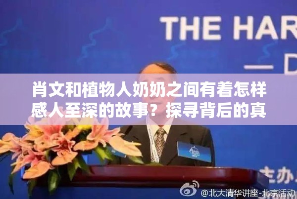 肖文和植物人奶奶之間有著怎樣感人至深的故事？探尋背后的真情與堅(jiān)守