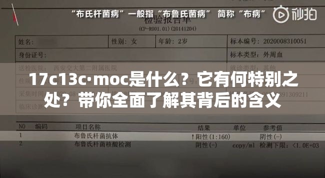 17c13c·moc是什么？它有何特別之處？帶你全面了解其背后的含義