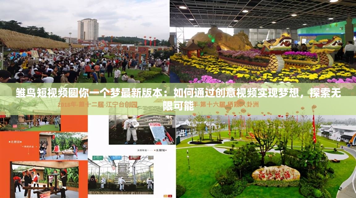 雛鳥短視頻圓你一個夢最新版本：如何通過創(chuàng)意視頻實現(xiàn)夢想，探索無限可能