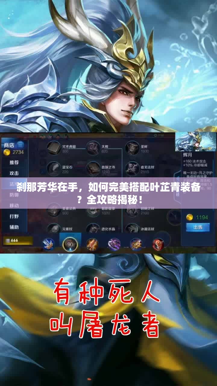 剎那芳華在手，如何完美搭配葉芷青裝備？全攻略揭秘！