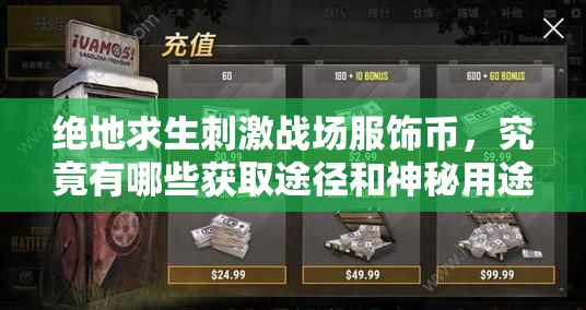 絕地求生刺激戰(zhàn)場服飾幣，究竟有哪些獲取途徑和神秘用途呢？