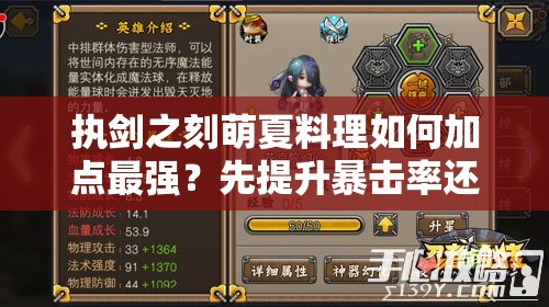 執(zhí)劍之刻萌夏料理如何加點(diǎn)最強(qiáng)？先提升暴擊率還是攻擊力？