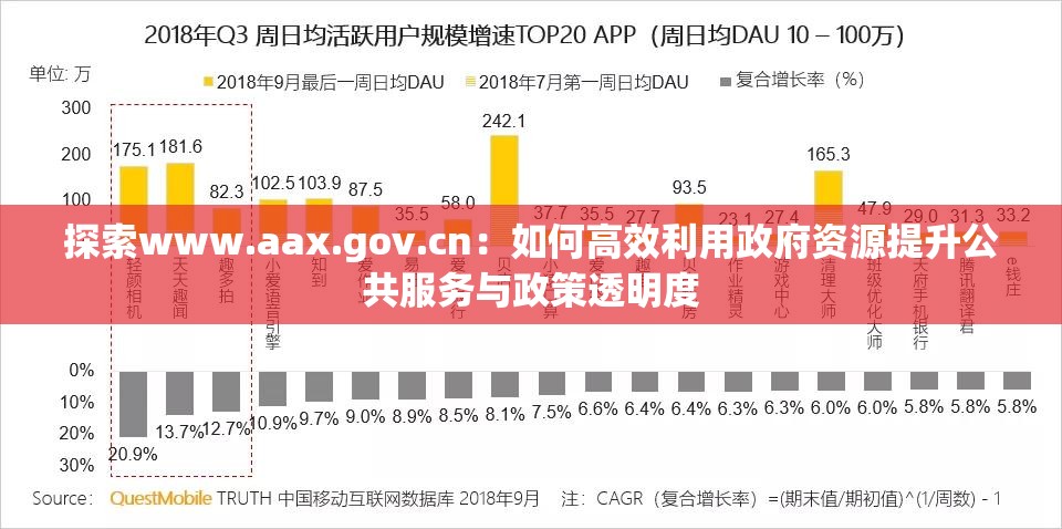 探索www.aax.gov.cn：如何高效利用政府資源提升公共服務與政策透明度