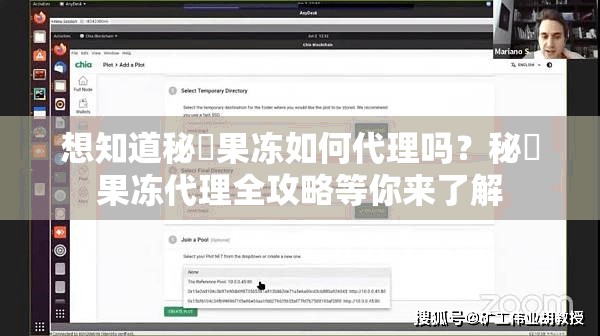 想知道秘媞果凍如何代理嗎？秘媞果凍代理全攻略等你來了解