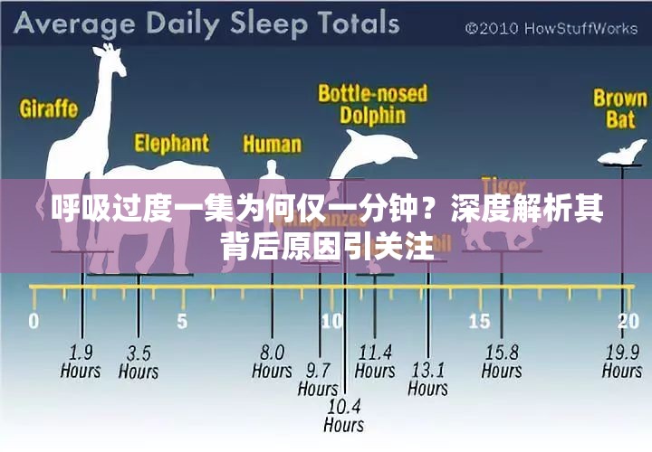 呼吸過度一集為何僅一分鐘？深度解析其背后原因引關(guān)注