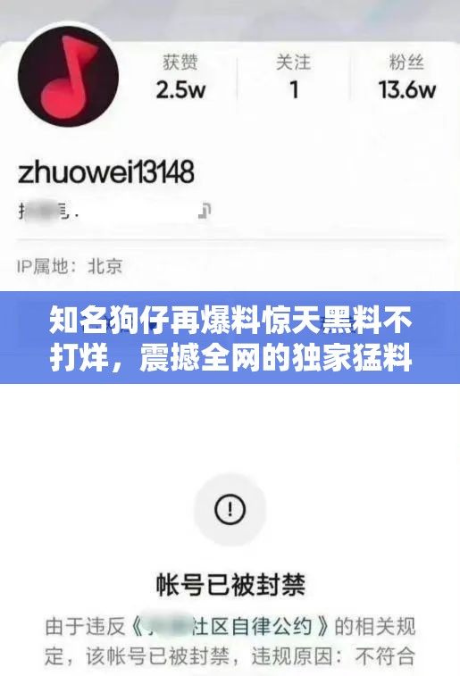 知名狗仔再爆料驚天黑料不打烊，震撼全網(wǎng)的獨(dú)家猛料持續(xù)曝光