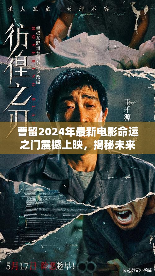 曹留2024年最新電影命運之門震撼上映，揭秘未來科技與人性的終極對決