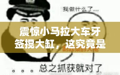 震驚小馬拉大車牙簽攪大缸，這究竟是道德的淪喪還是人性的扭曲？