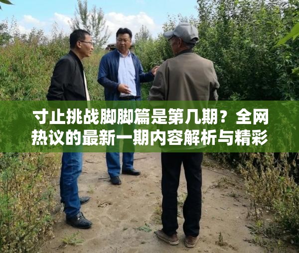 寸止挑戰(zhàn)腳腳篇是第幾期？全網(wǎng)熱議的最新一期內(nèi)容解析與精彩看點大揭秘