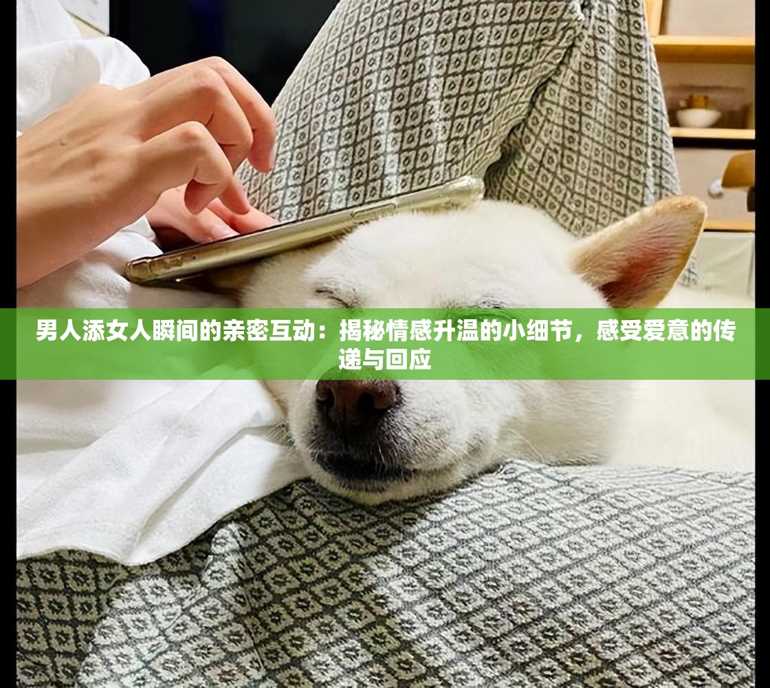 男人添女人瞬間的親密互動(dòng)：揭秘情感升溫的小細(xì)節(jié)，感受愛意的傳遞與回應(yīng)