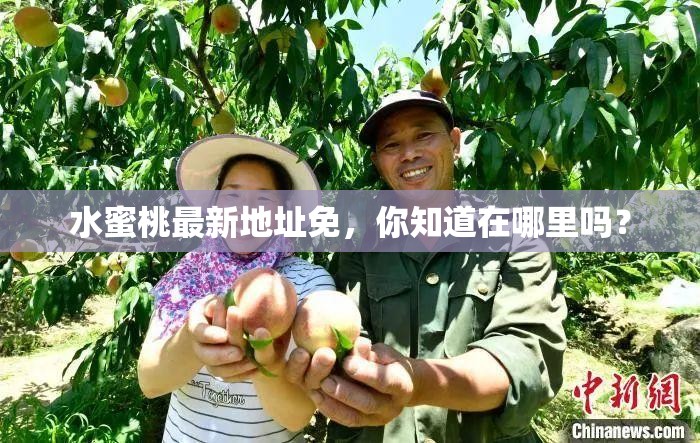 水蜜桃最新地址免，你知道在哪里嗎？