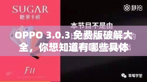 OPPO 3.0.3 免費(fèi)版破解大全，你想知道有哪些具體內(nèi)容嗎？快來(lái)一探究竟