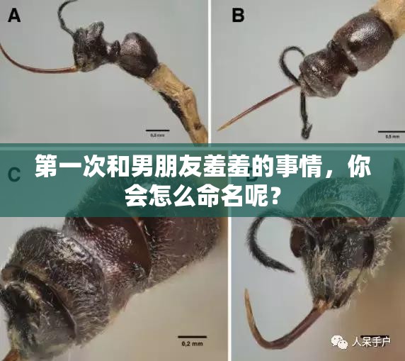 第一次和男朋友羞羞的事情，你會(huì)怎么命名呢？