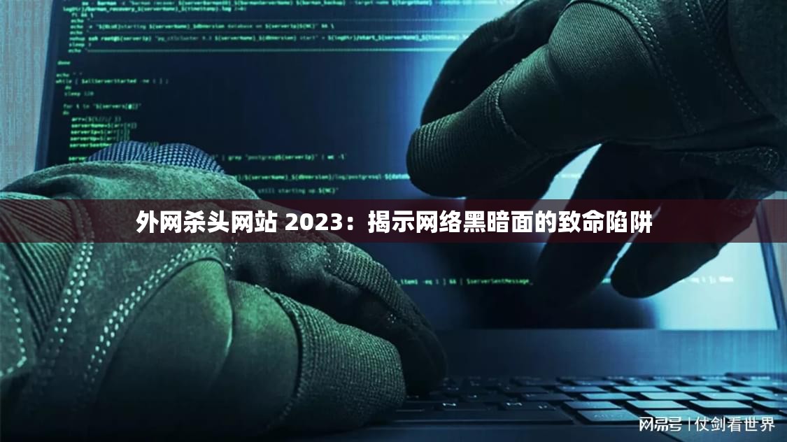 外網(wǎng)殺頭網(wǎng)站 2023：揭示網(wǎng)絡(luò)黑暗面的致命陷阱