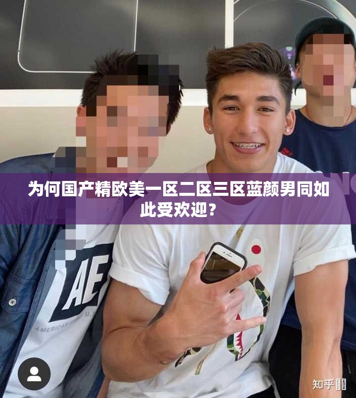 為何國(guó)產(chǎn)精歐美一區(qū)二區(qū)三區(qū)藍(lán)顏男同如此受歡迎？