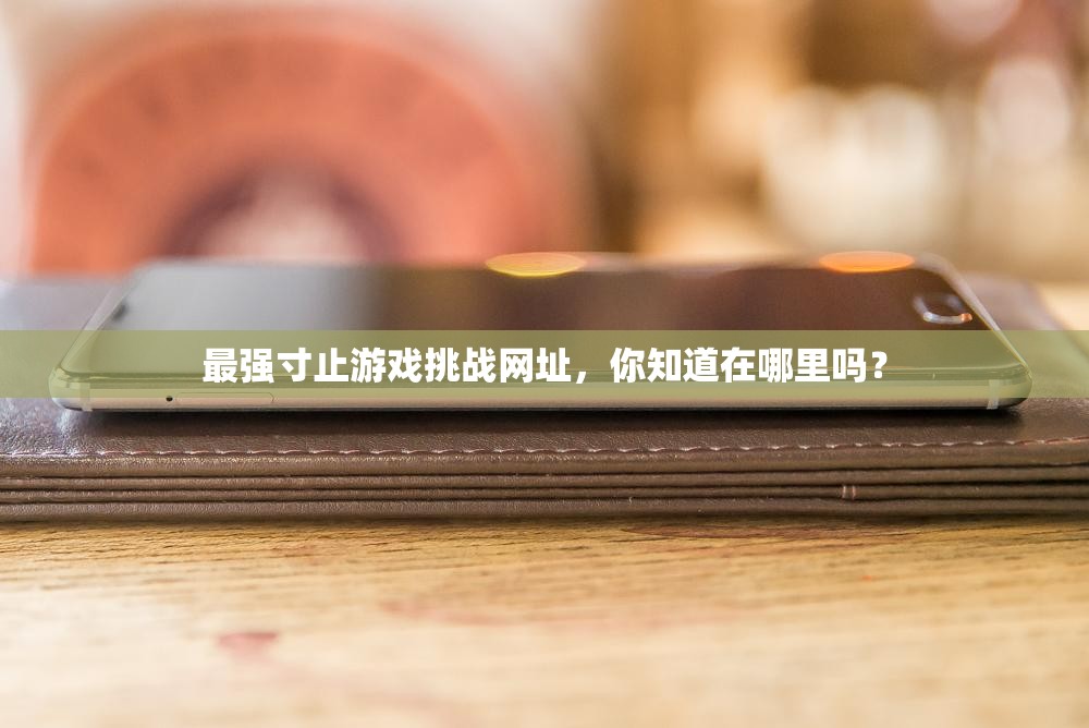 最強(qiáng)寸止游戲挑戰(zhàn)網(wǎng)址，你知道在哪里嗎？