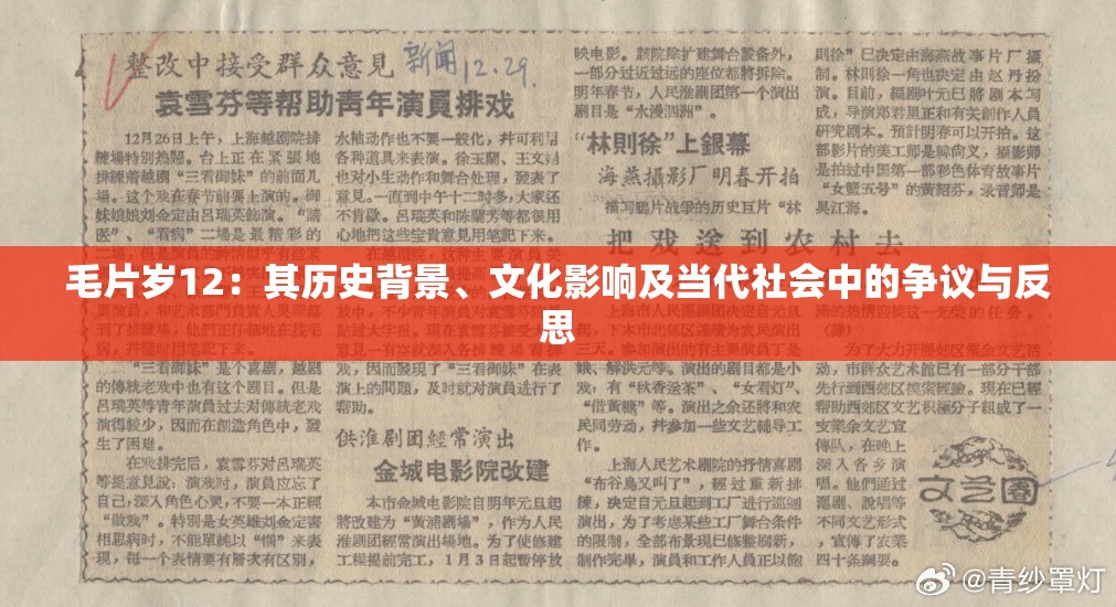 毛片歲12：其歷史背景、文化影響及當(dāng)代社會(huì)中的爭(zhēng)議與反思