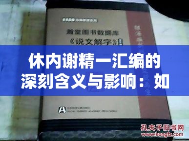 休內(nèi)謝精一匯編的深刻含義與影響：如何理解其在現(xiàn)代學(xué)術(shù)與文化中的獨特價值？