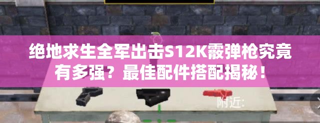 絕地求生全軍出擊S12K霰彈槍究竟有多強(qiáng)？最佳配件搭配揭秘！