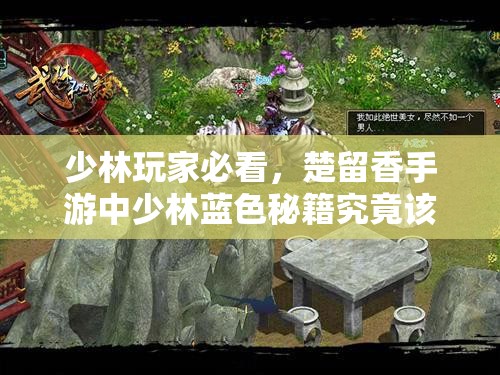 少林玩家必看，楚留香手游中少林藍色秘籍究竟該如何選擇？