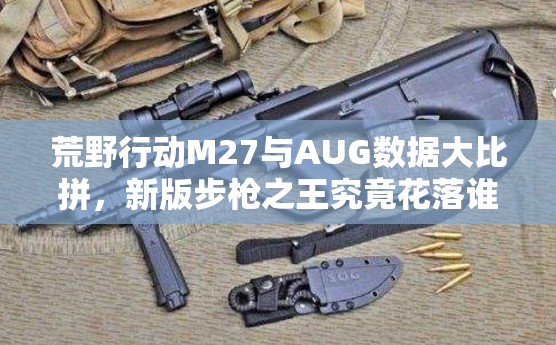 荒野行動(dòng)M27與AUG數(shù)據(jù)大比拼，新版步槍之王究竟花落誰(shuí)家？