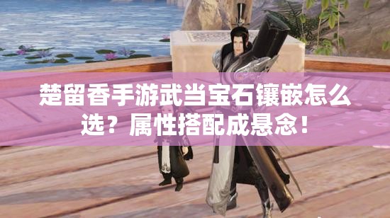 楚留香手游武當(dāng)寶石鑲嵌怎么選？屬性搭配成懸念！