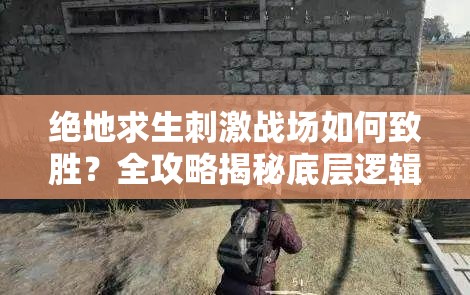 絕地求生刺激戰(zhàn)場如何致勝？全攻略揭秘底層邏輯與操作映射深度秘密