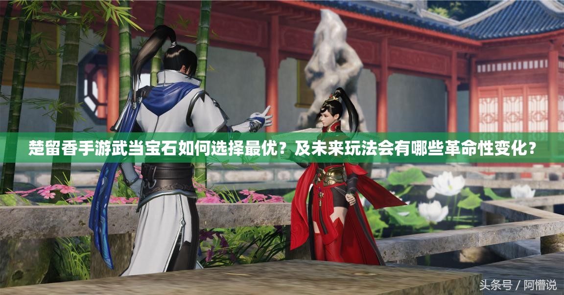 楚留香手游武當(dāng)寶石如何選擇最優(yōu)？及未來(lái)玩法會(huì)有哪些革命性變化？