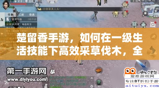 楚留香手游，如何在一級生活技能下高效采草伐木，全攻略揭秘？